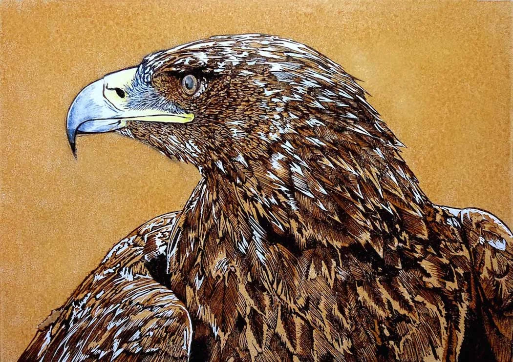 BIRDS OF PREY