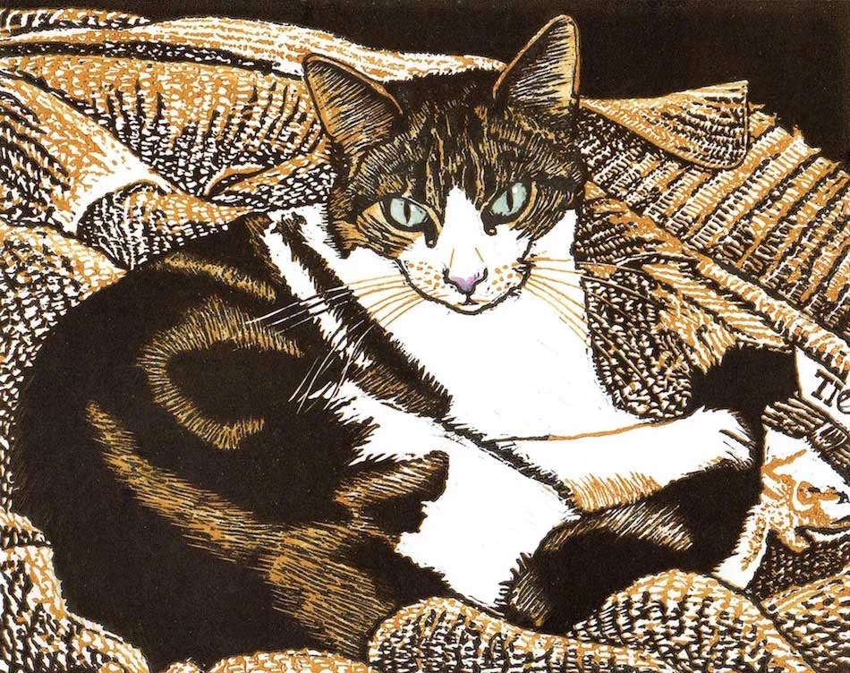 CATS
