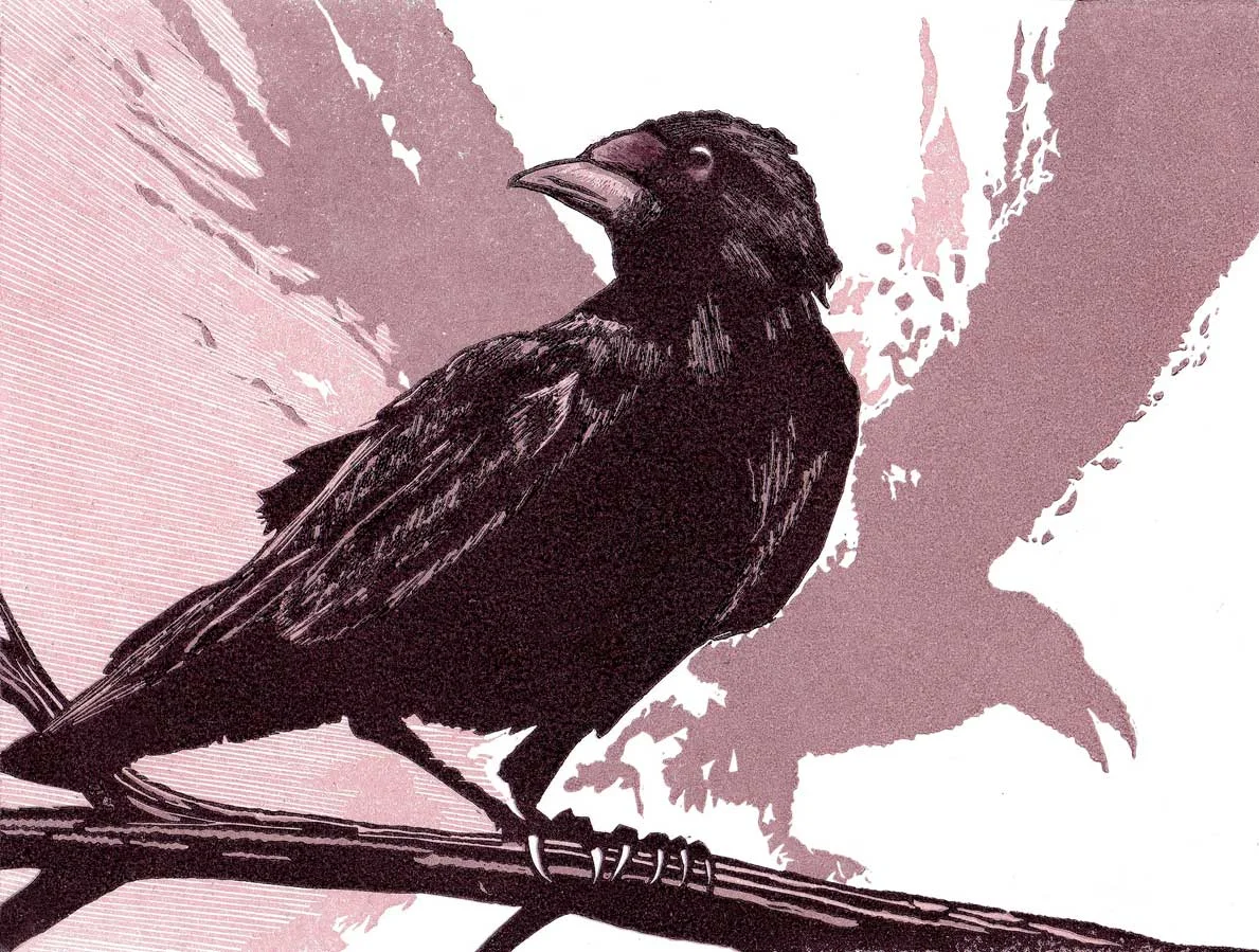 crow-2.jpg
