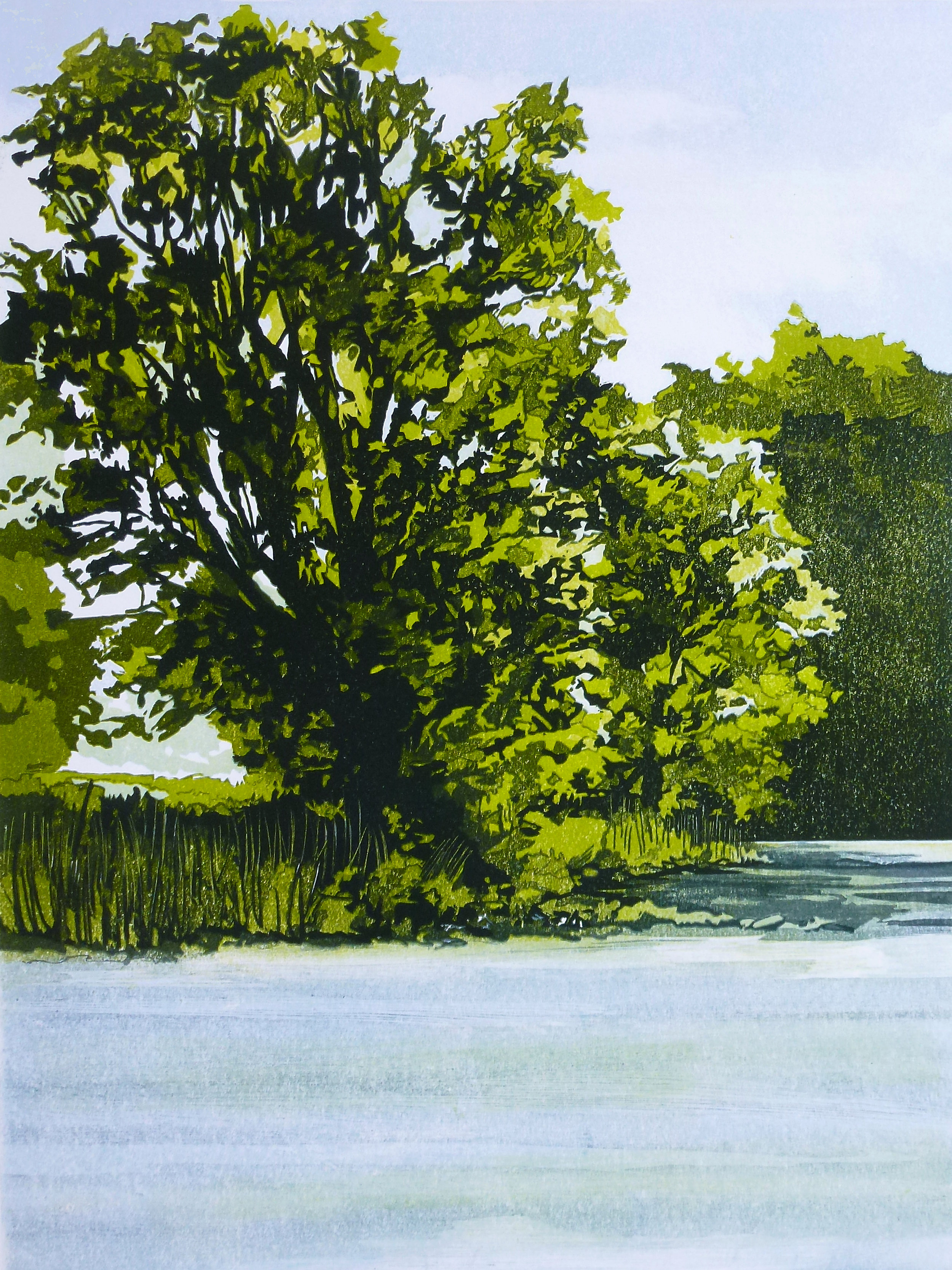 R Wharfe at Addingham.jpg