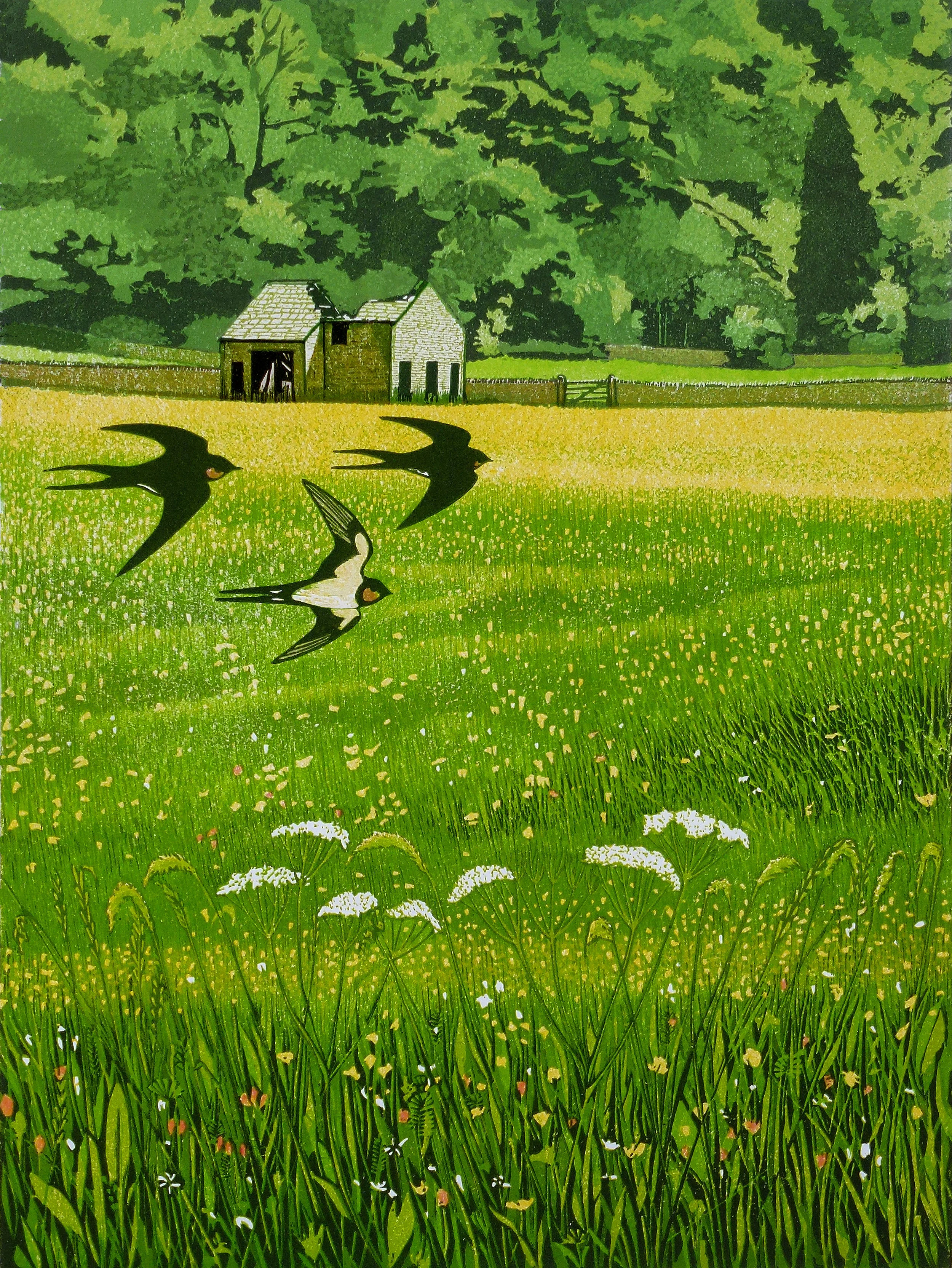 Wild-Flower-Meadow,-Upper-W.jpg