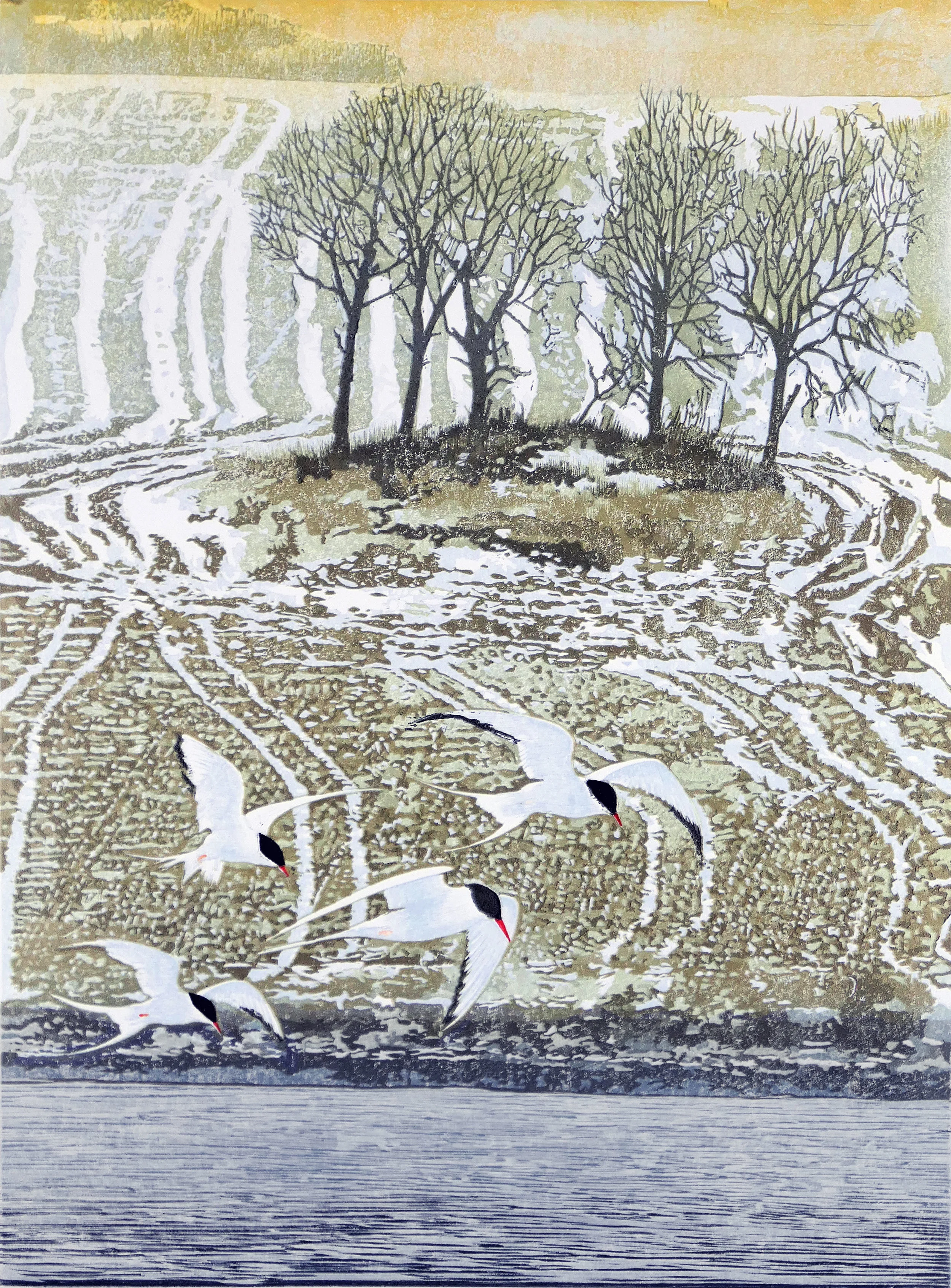 Norwegian-coast-with-Arctic-terns.jpg