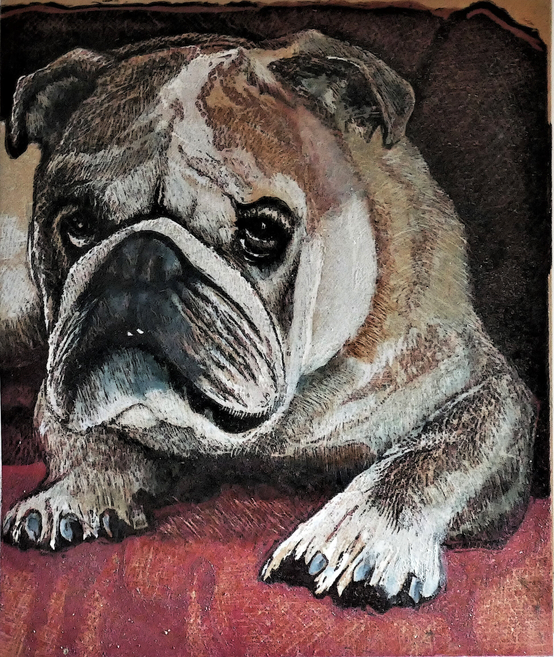 Colin the dog.jpg
