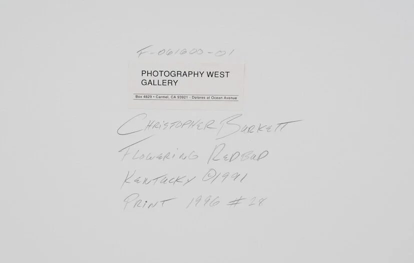 53A69E2C-A88A-4680-BF54-96D9A0E9A382