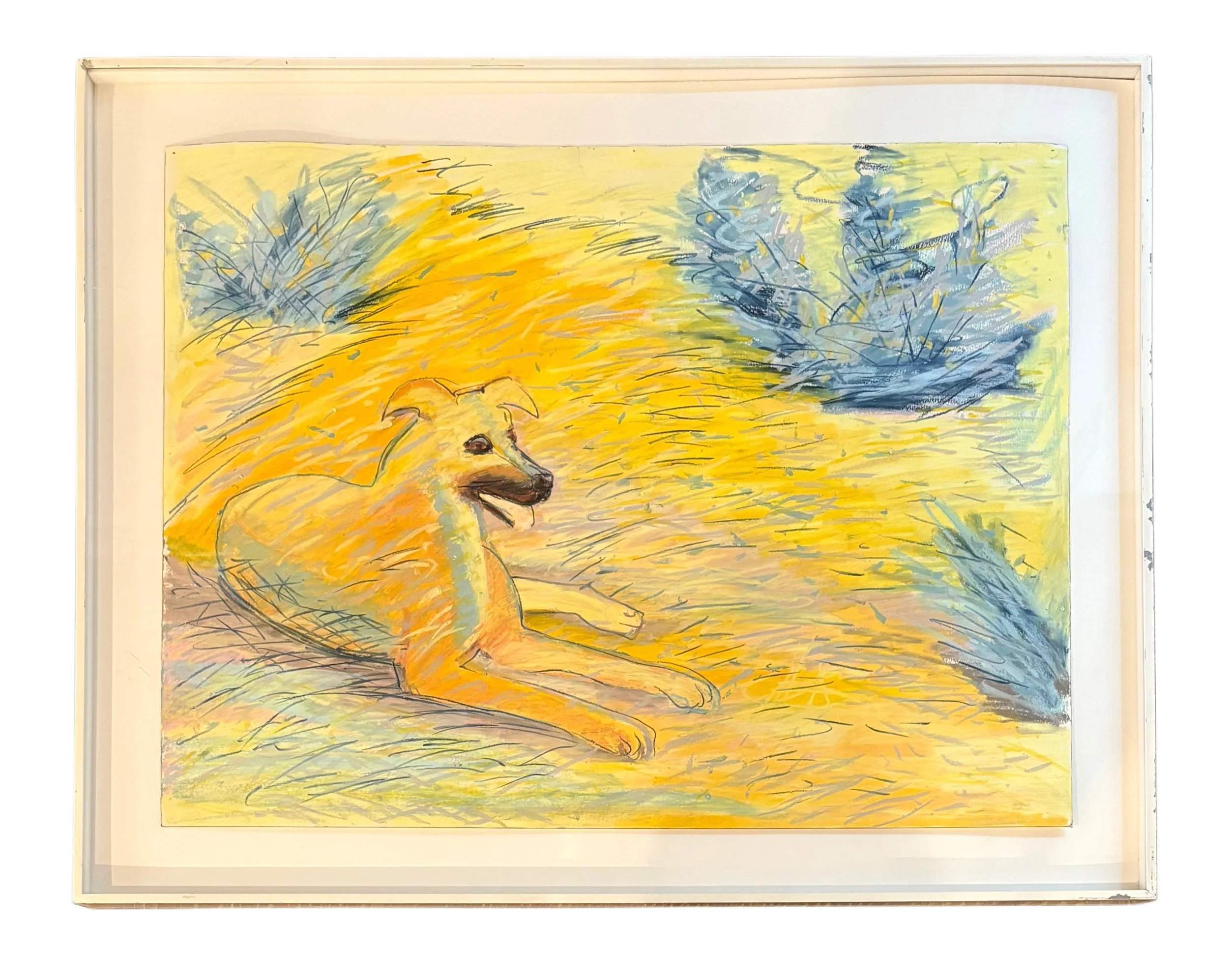Gwynn Murrill, Pastel on Paper, "Dog" c. 1999