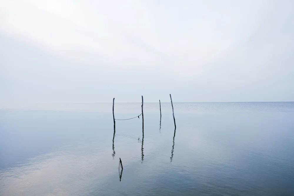 Photo tip 1: Keep it simple / Photo: Tomás Correa