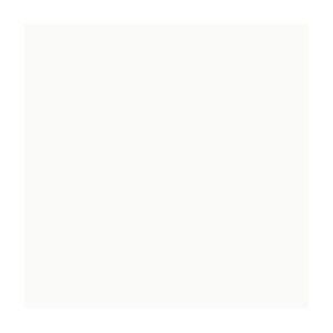  SW7006 Extra White