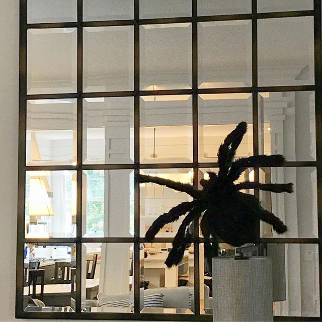 I&rsquo;m kind of going to miss this giant furry spider on the mirror 🕷😍
.
.
.
.
 #halloween #halloweendecor #spider #design #interiordesign #designbuild #renovation #remodel #blackandwhite #potterybarn #mirror #reflection #treesidelane