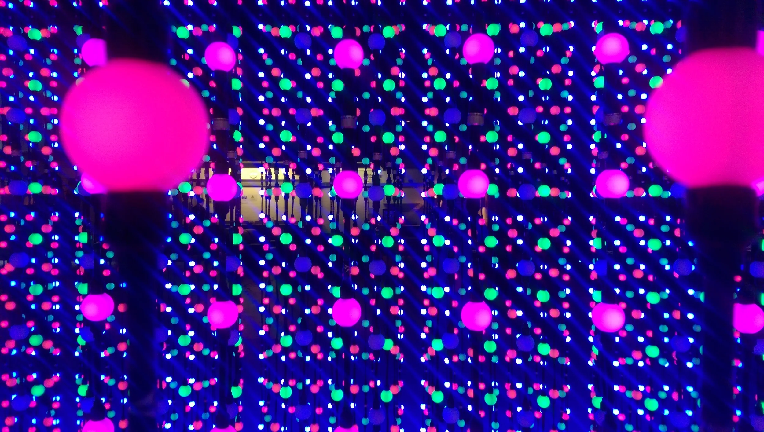 IMAG0920.jpg