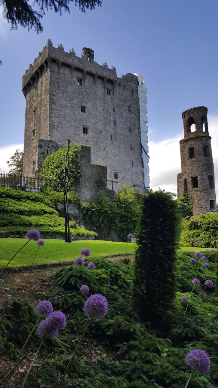 John and Tom Zimmermann took a family trip to Ireland earlier this summer. The Blarney Castle was one of many stops to explore along the way!