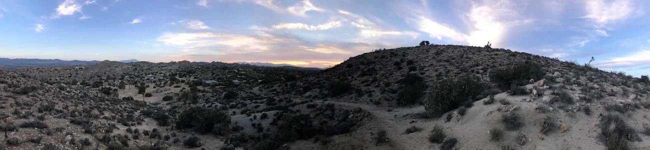 Joshua Tree National Park— Adam Brown