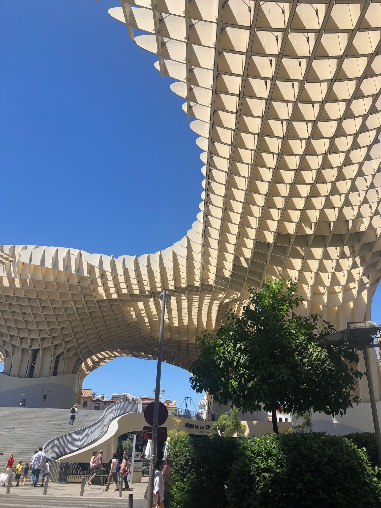 Setas de Sevilla