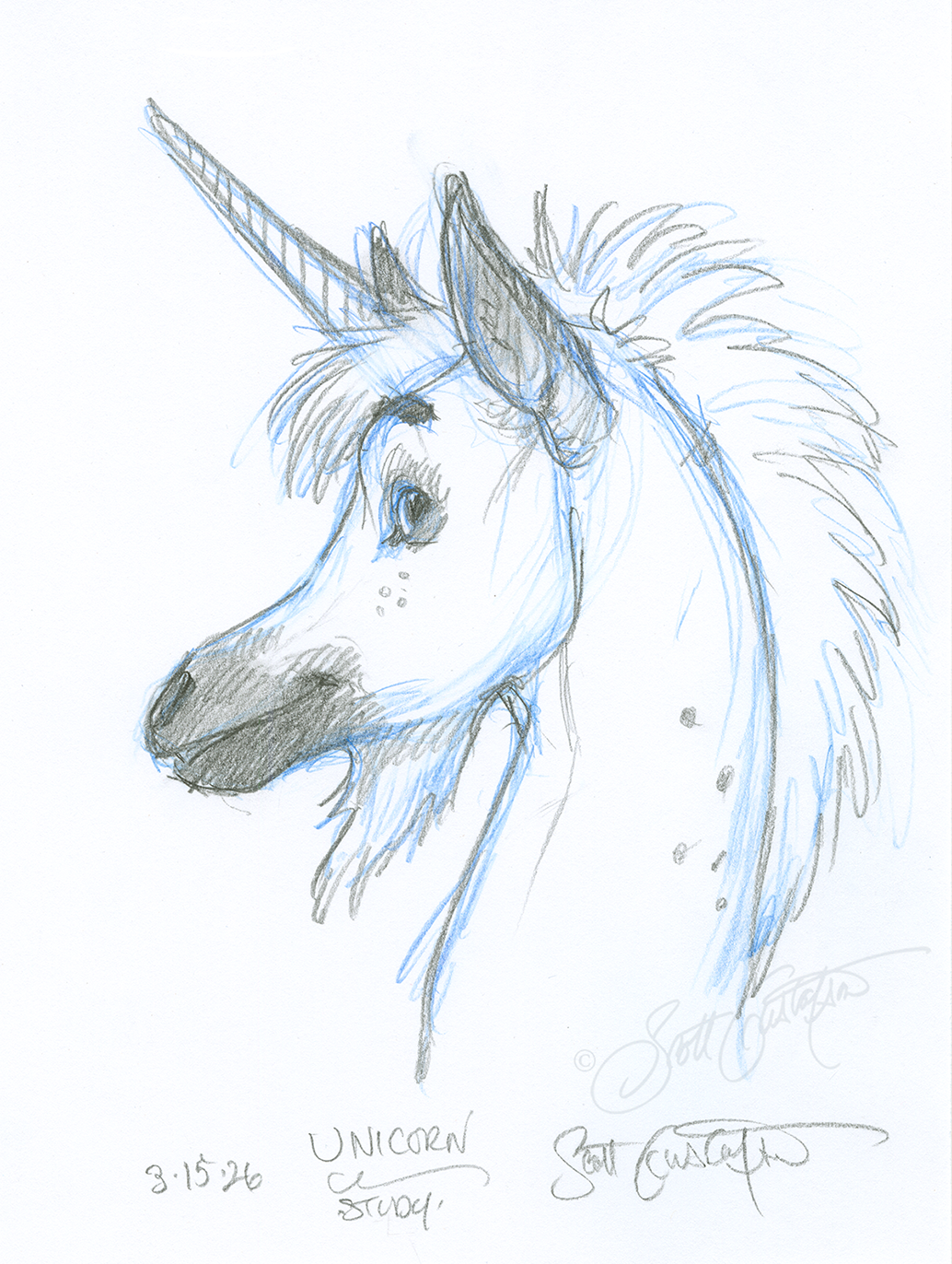 GUSTAFSON_Unicorn-6_head_study.png