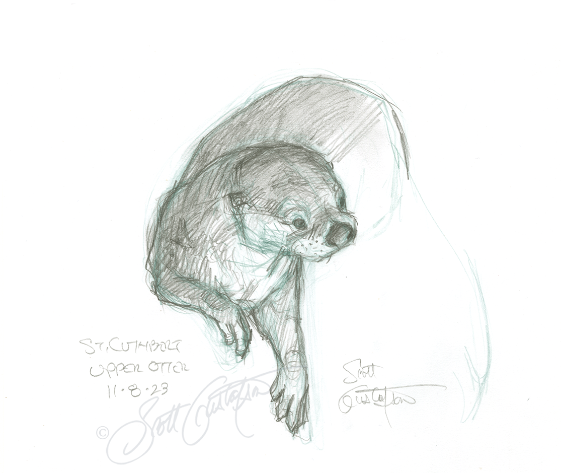 GUSTAFSON_otter-12.png