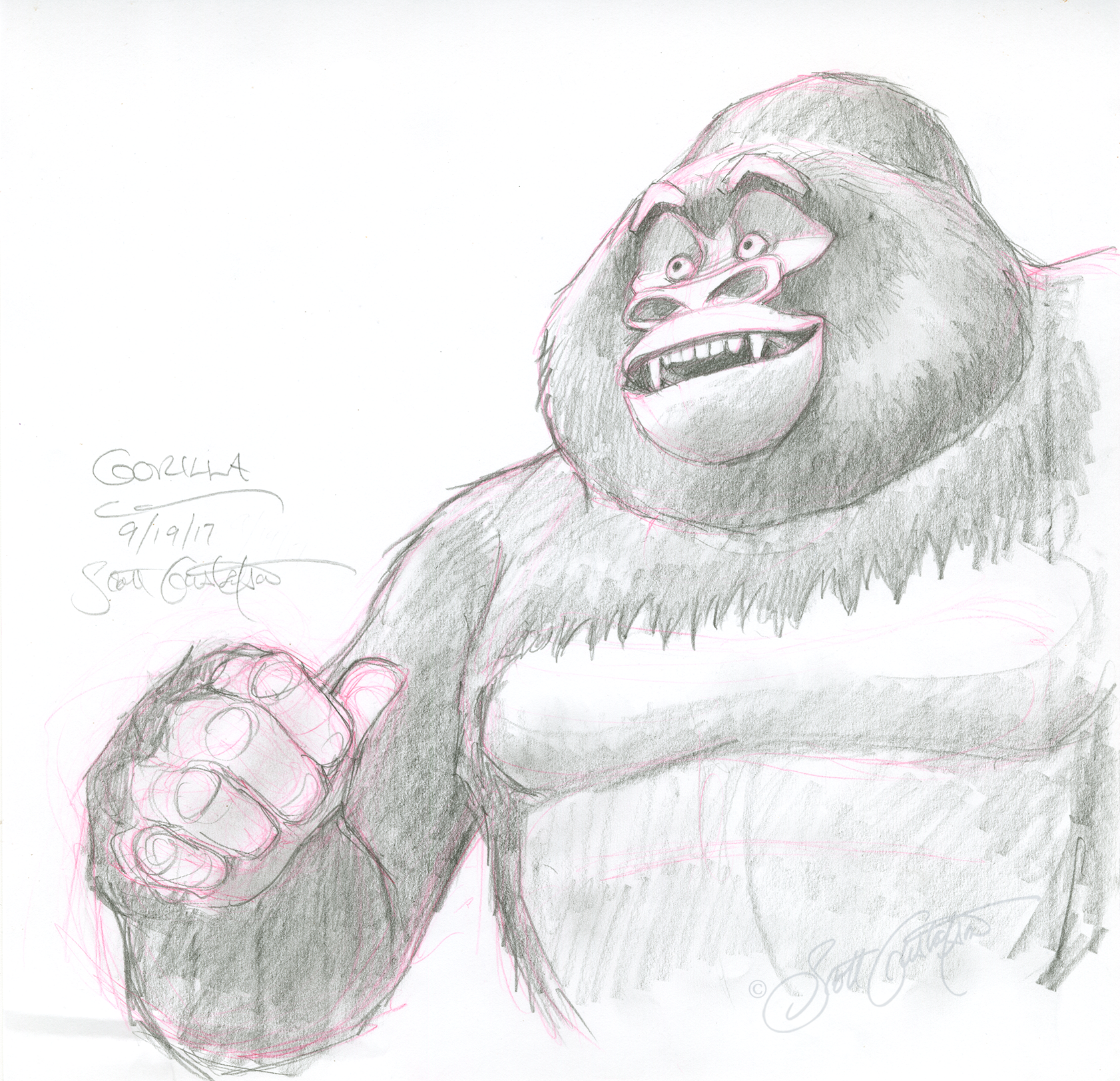 GUSTAFSON_gorilla.png