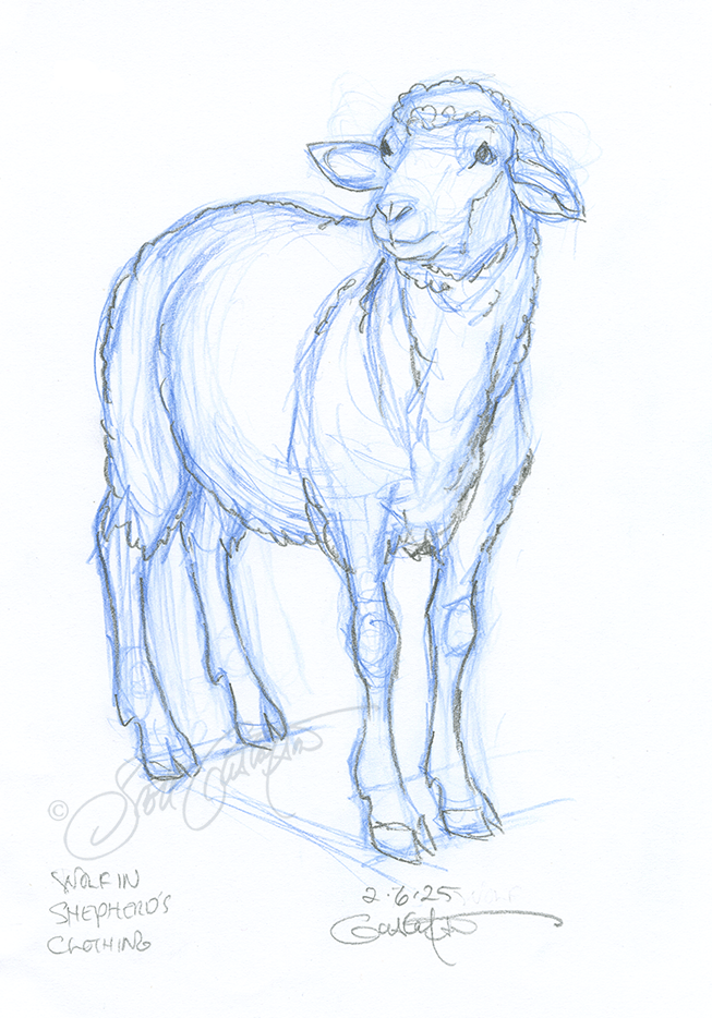 GUSTAFSON_sheep-3.png
