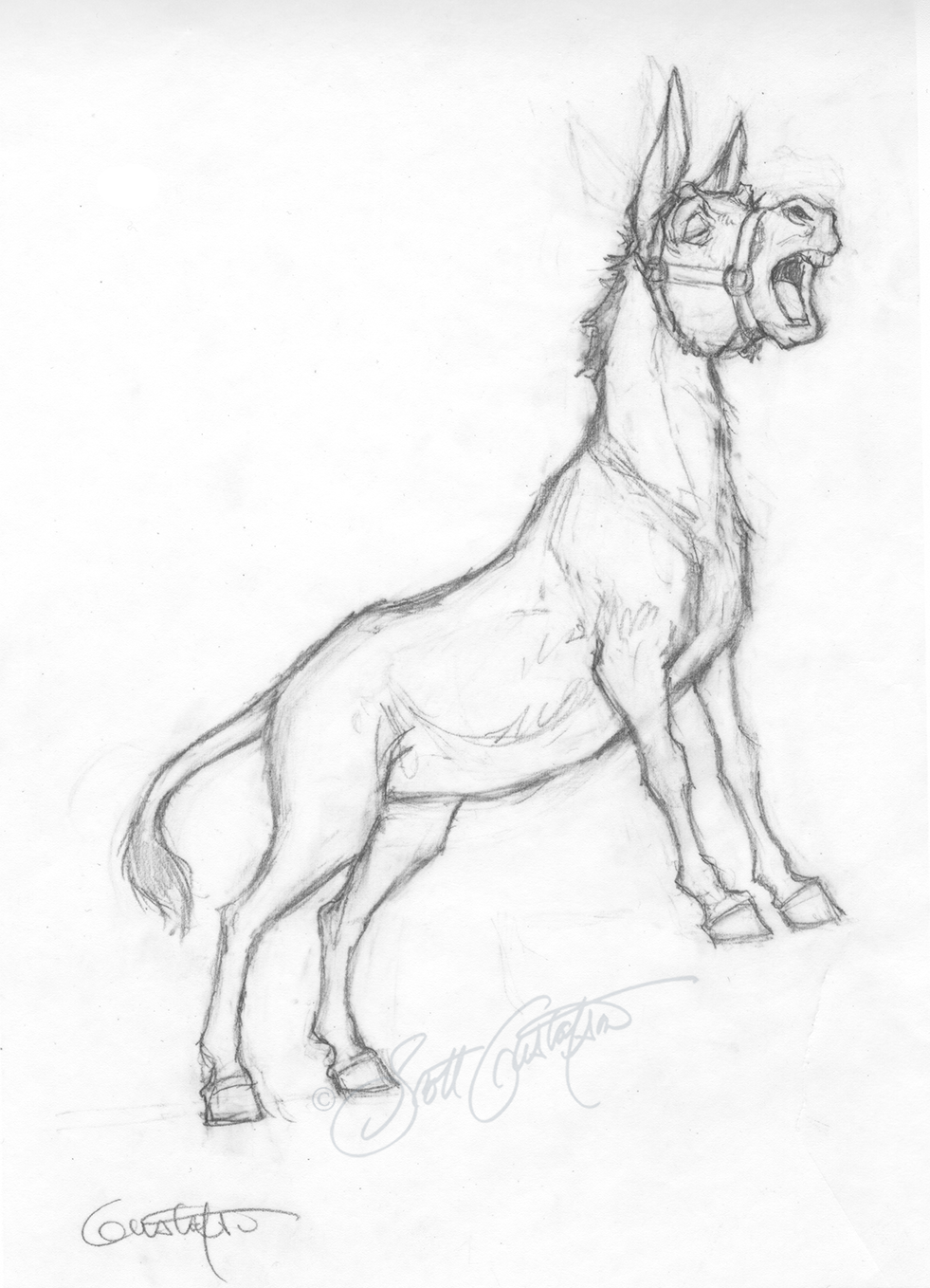GUSTAFSON_donkey_study*.png