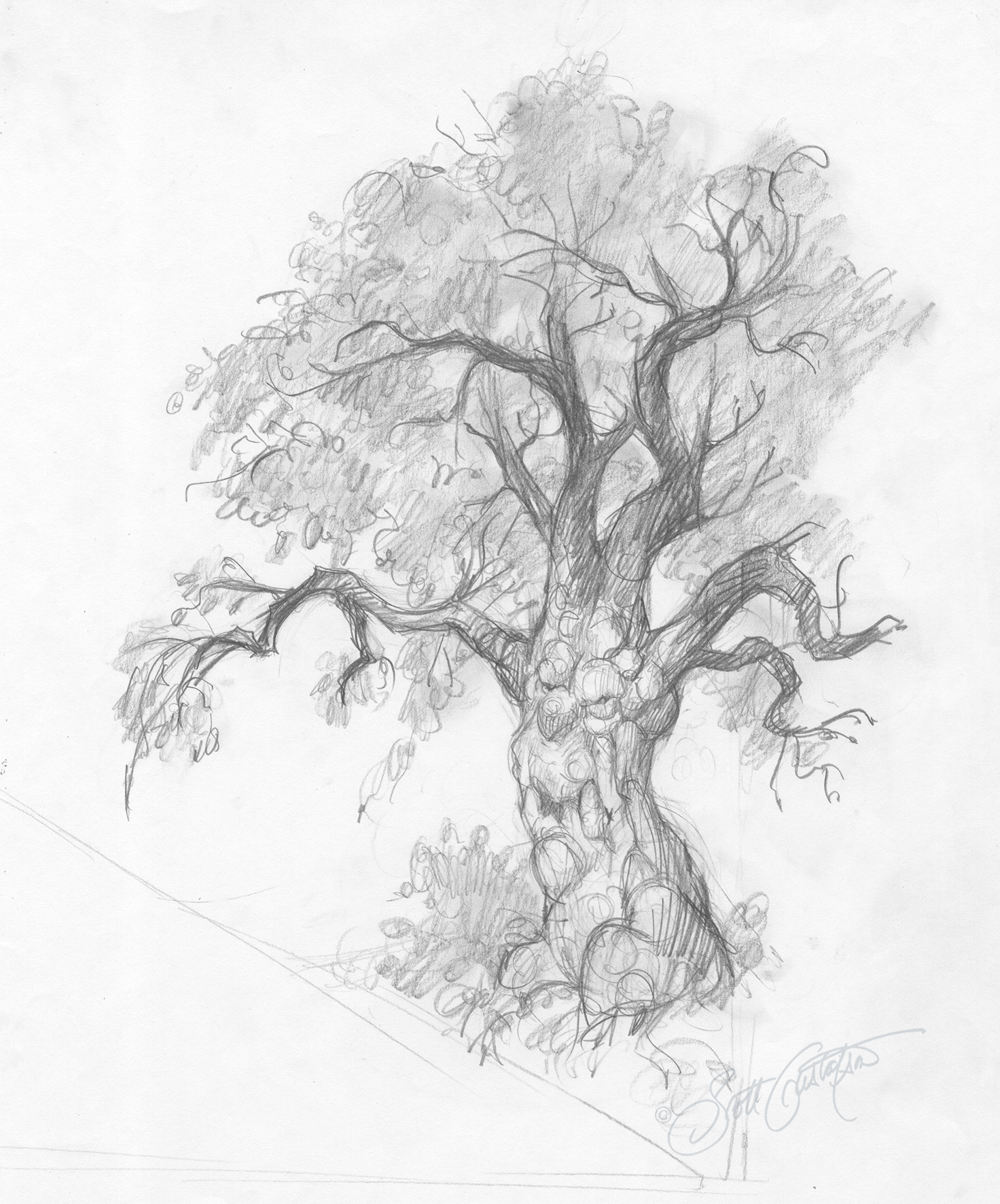 GUSTAFSON_Oz_Tree_study.png