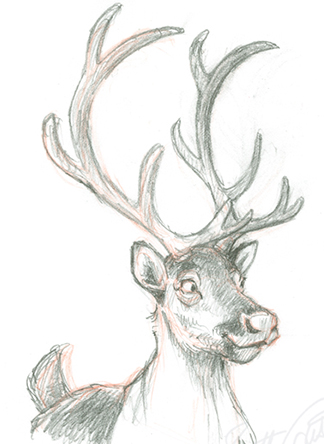 Reindeer Drawings - many NEW ones!