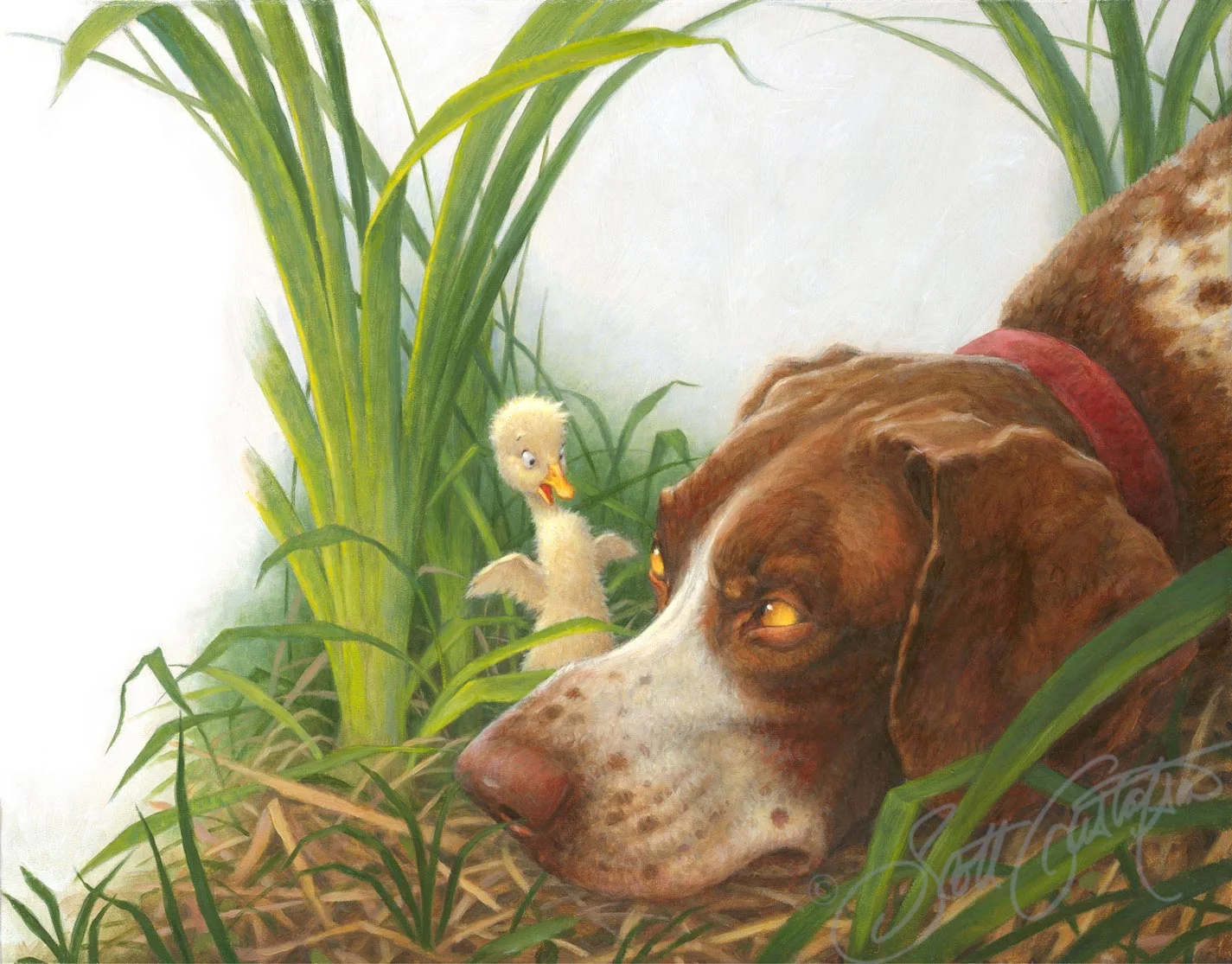 4_duckling_and_dog.jpg