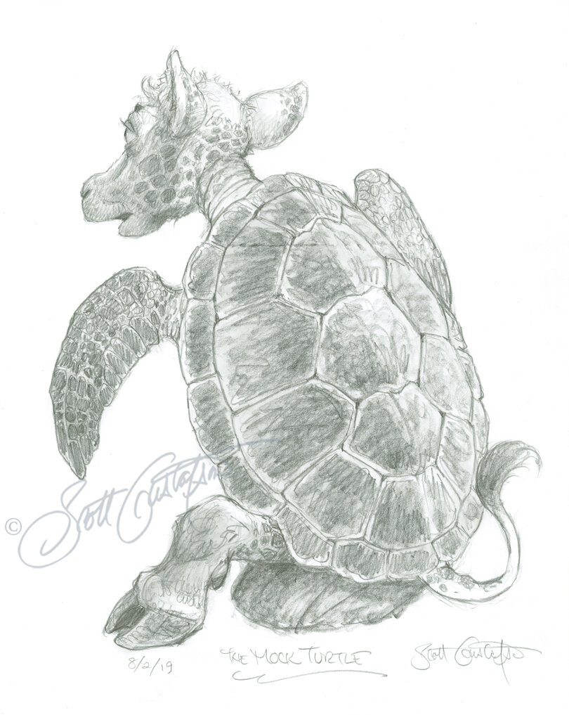 Sea turtle - Color pencil drawing - artbyrashmisatish | Facebook