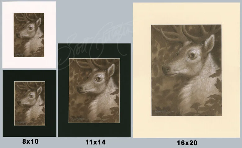 group_white_stag_matted.jpg