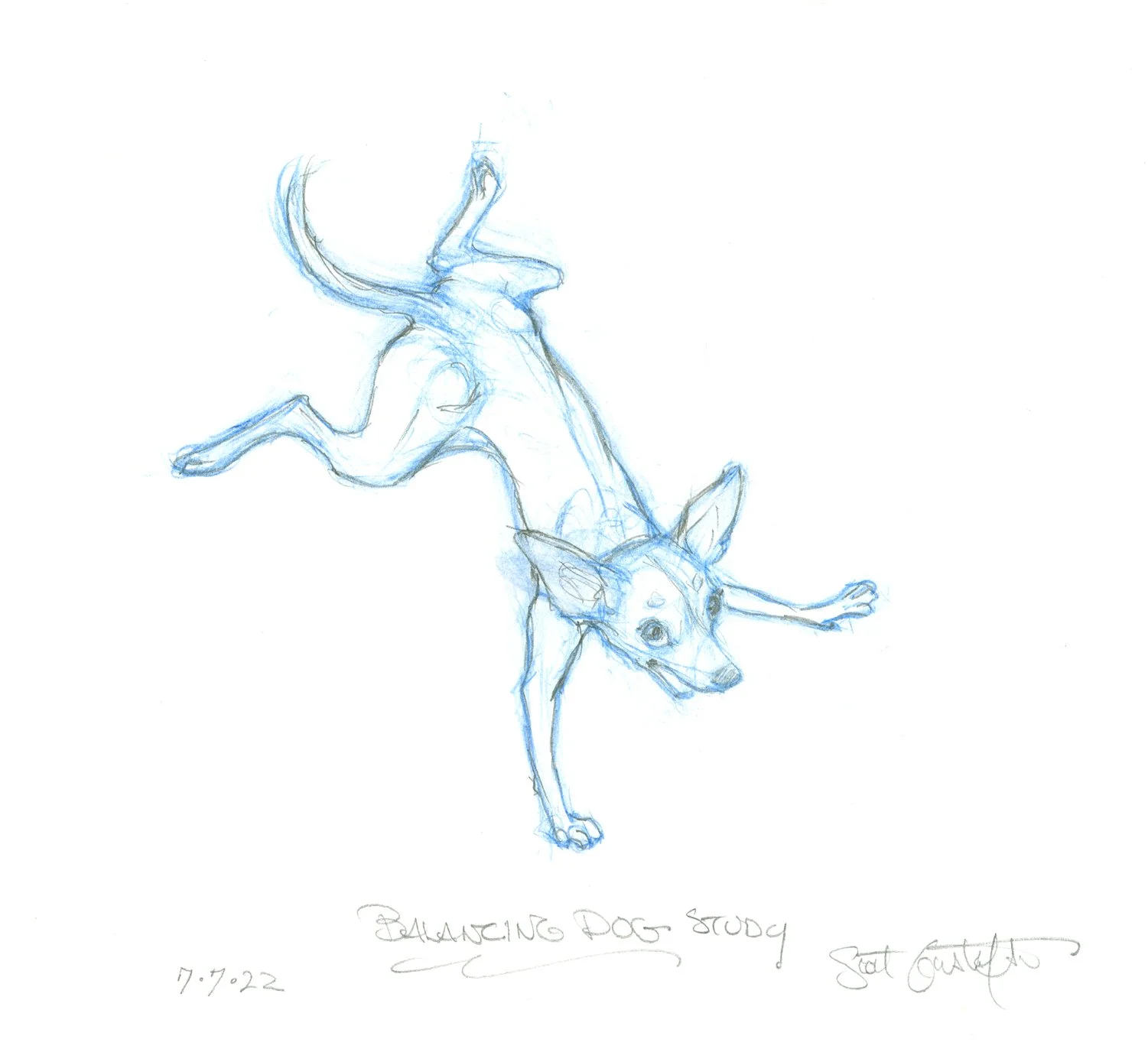 balancing_dog_rough.jpg