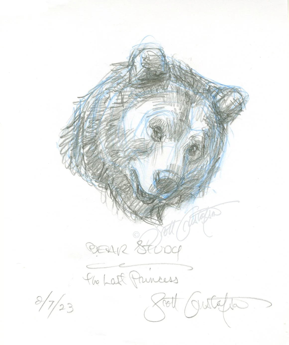 GUSTAFSON_bear_study.jpg