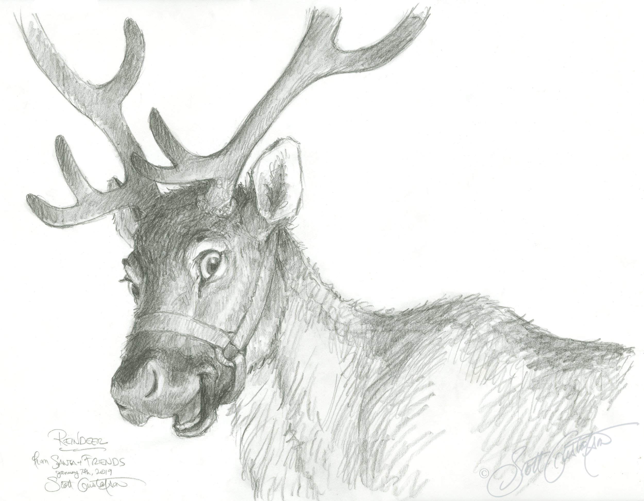 Full_reindeer_final.jpg