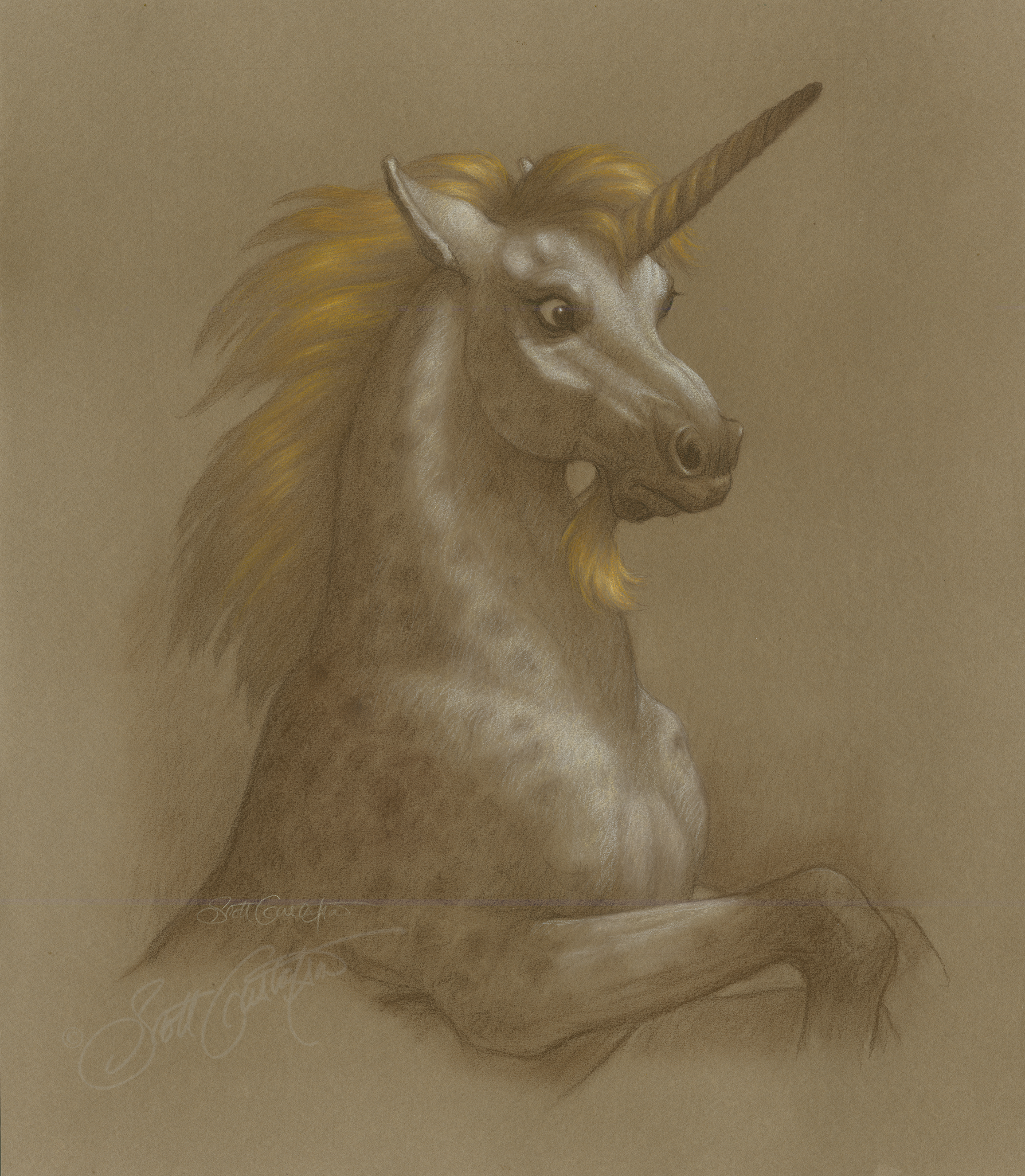 Unicorn