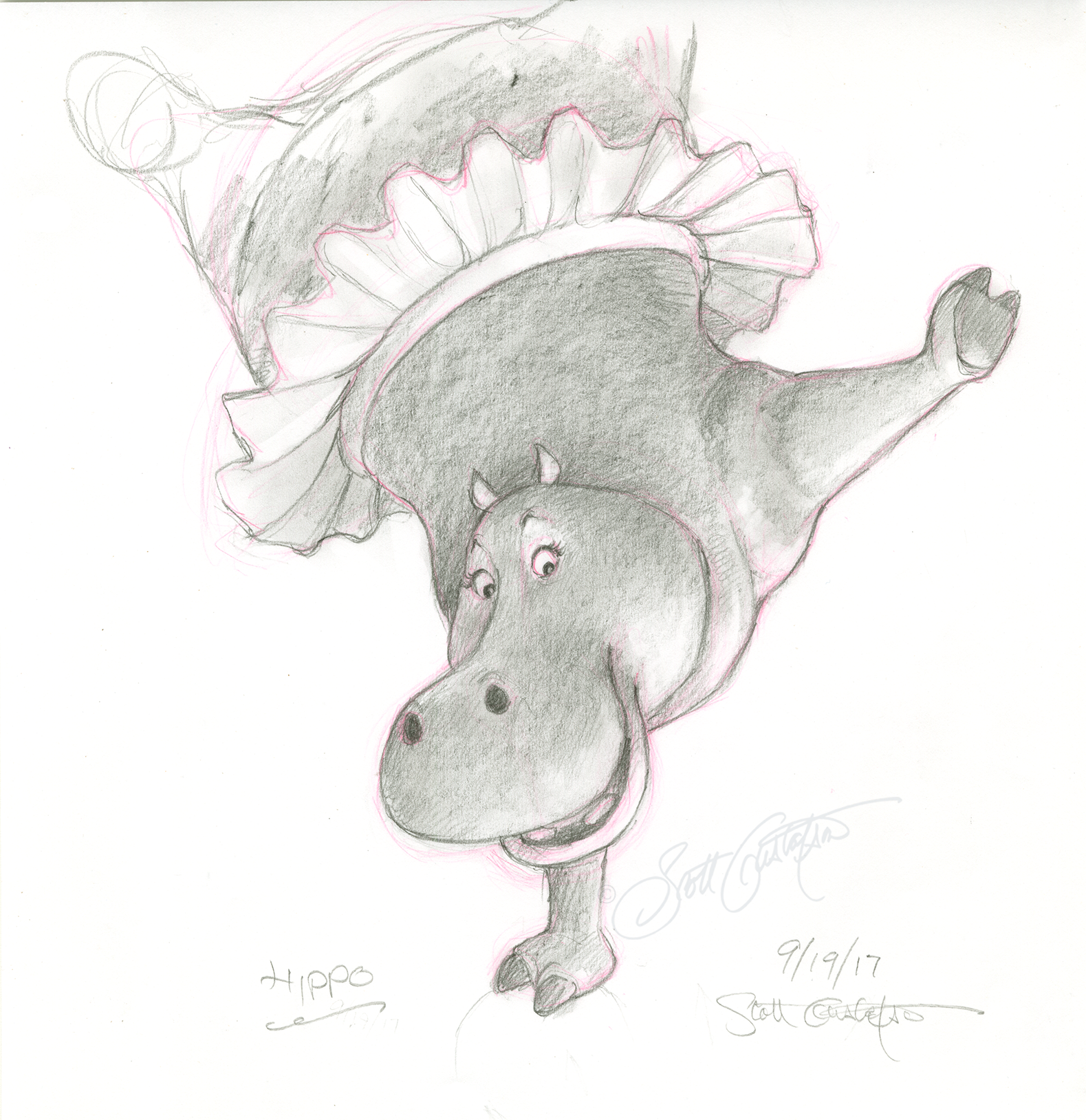 GUSTAFSON_hippo.png