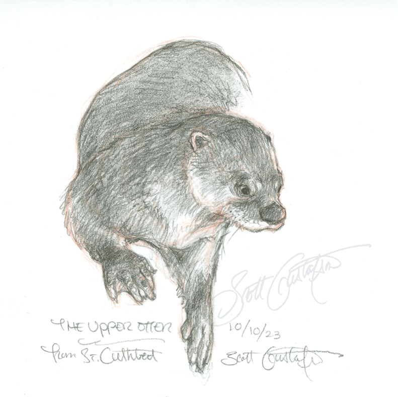GUSTAFSON_otter-1.png
