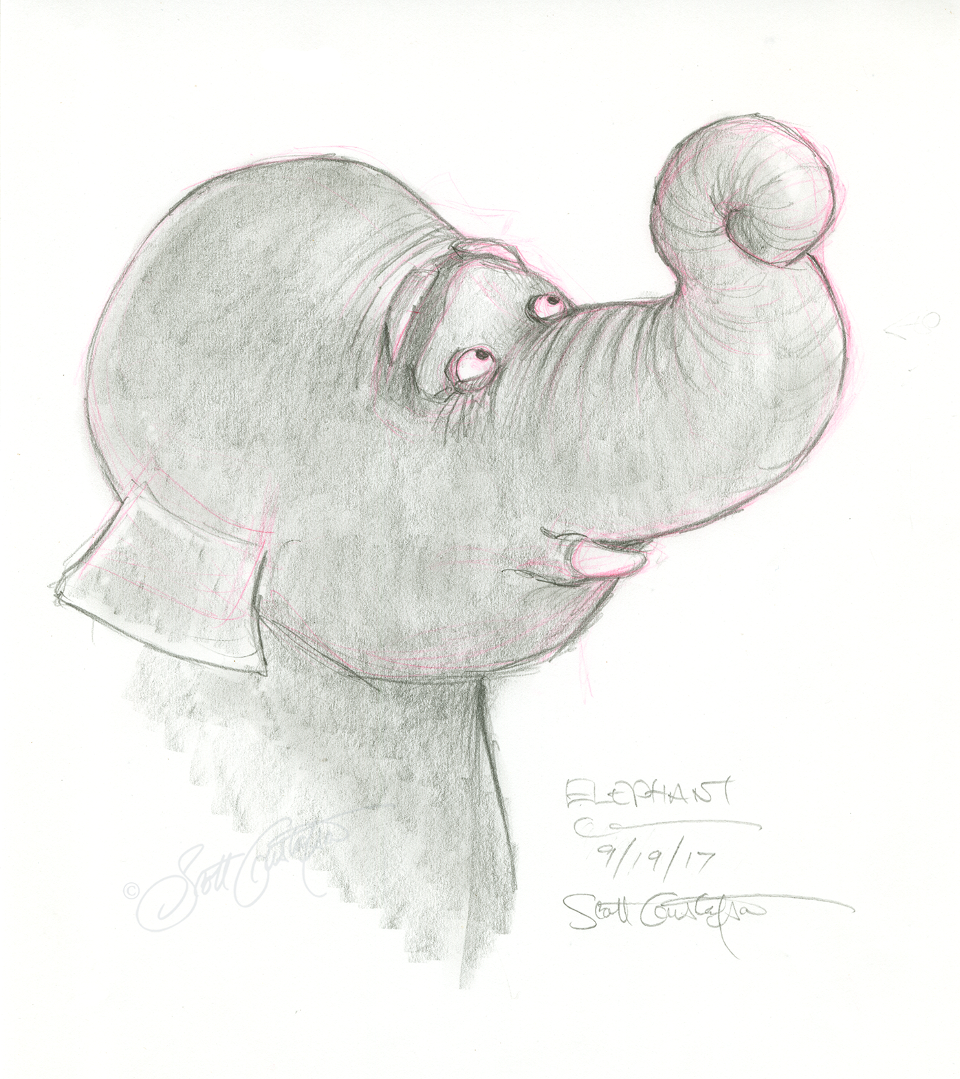 GUSTAFSON_elephant.png