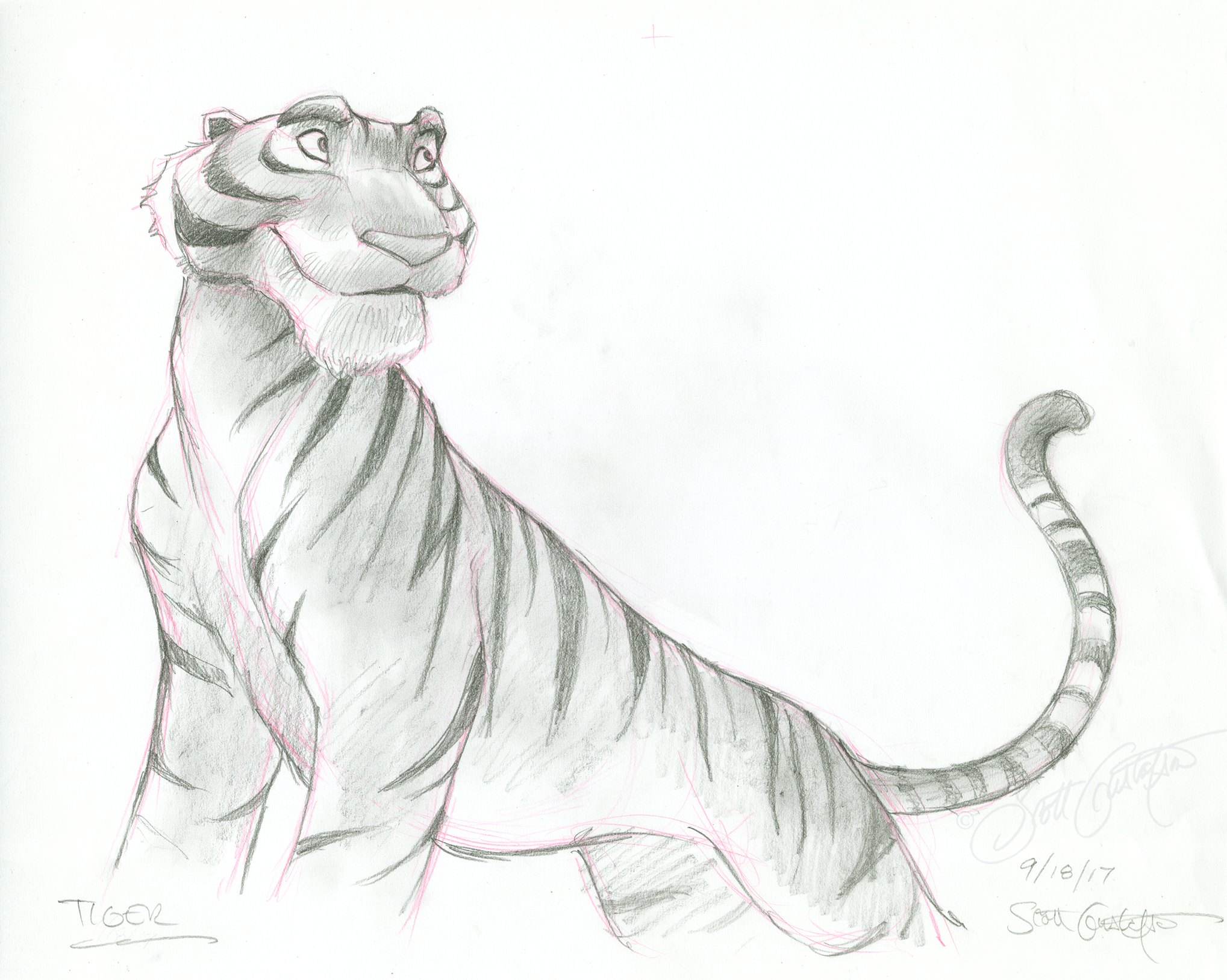 GUSTAFSON_tiger.png