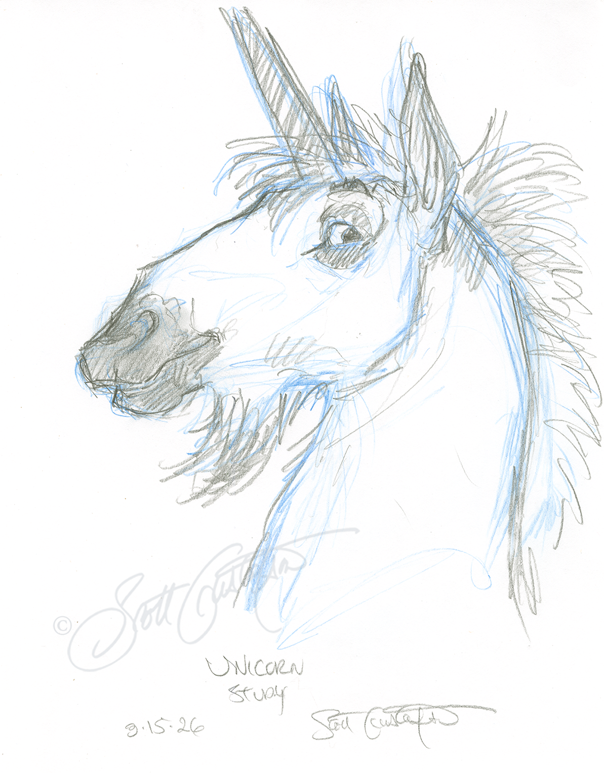 GUSTAFSON_Unicorn-5_head_study.png