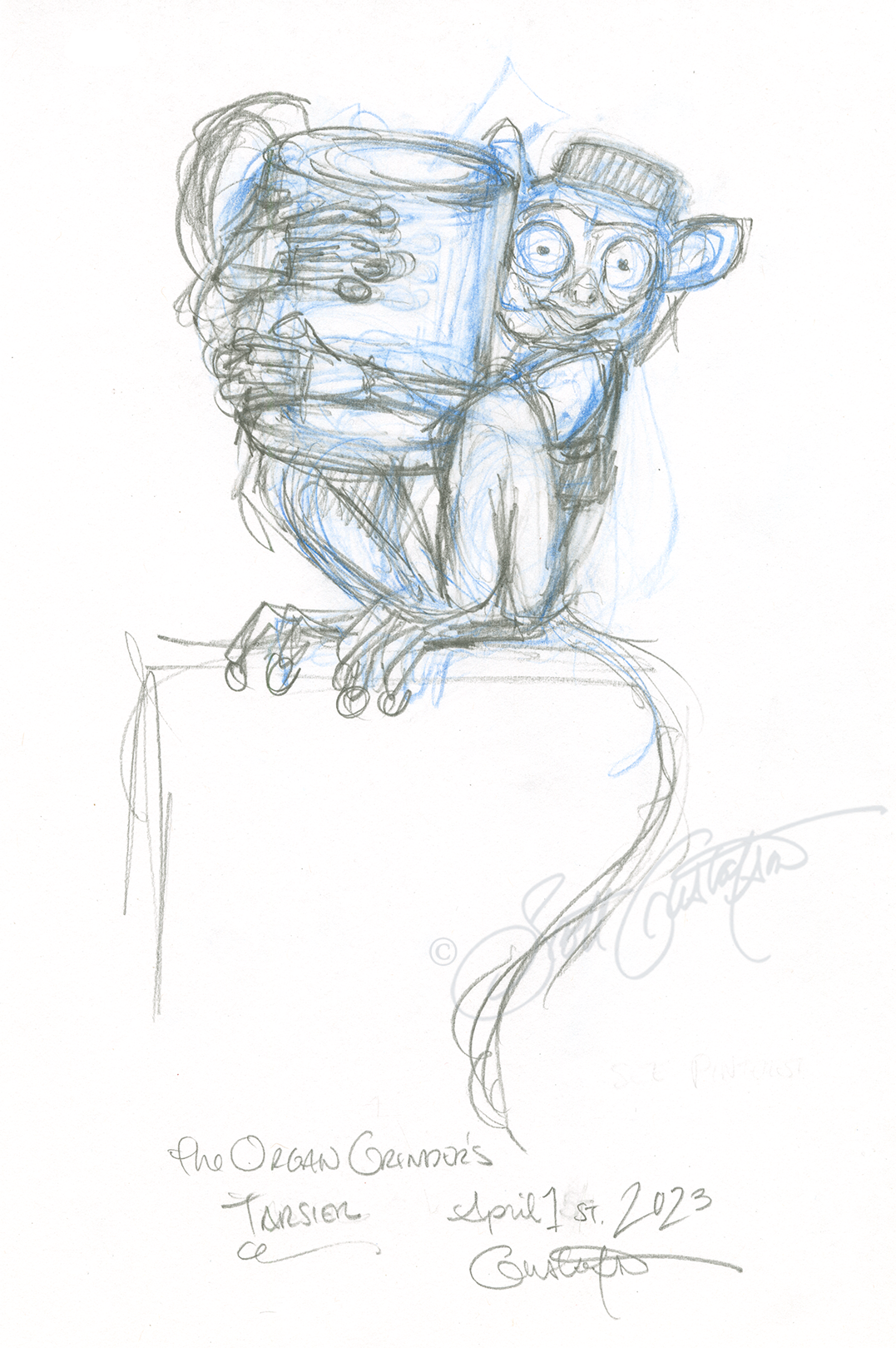 GUSTAFSON_Tarsier_early_study-1.png