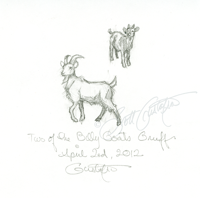 GUSTAFSON_billy_goats_study copy.png