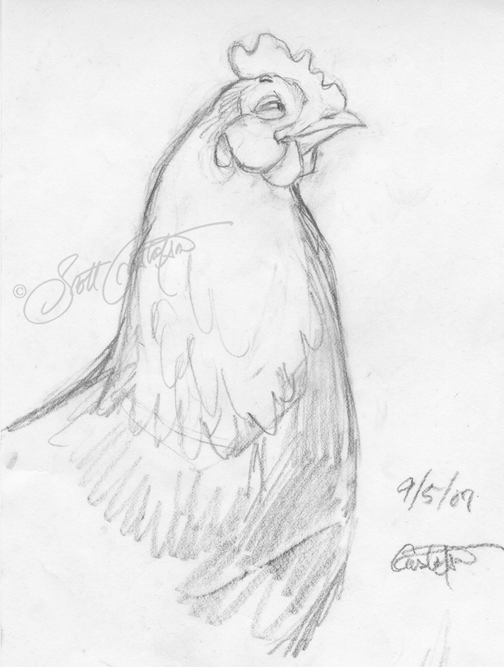GUSTAFSON_hen_head_study-1.png