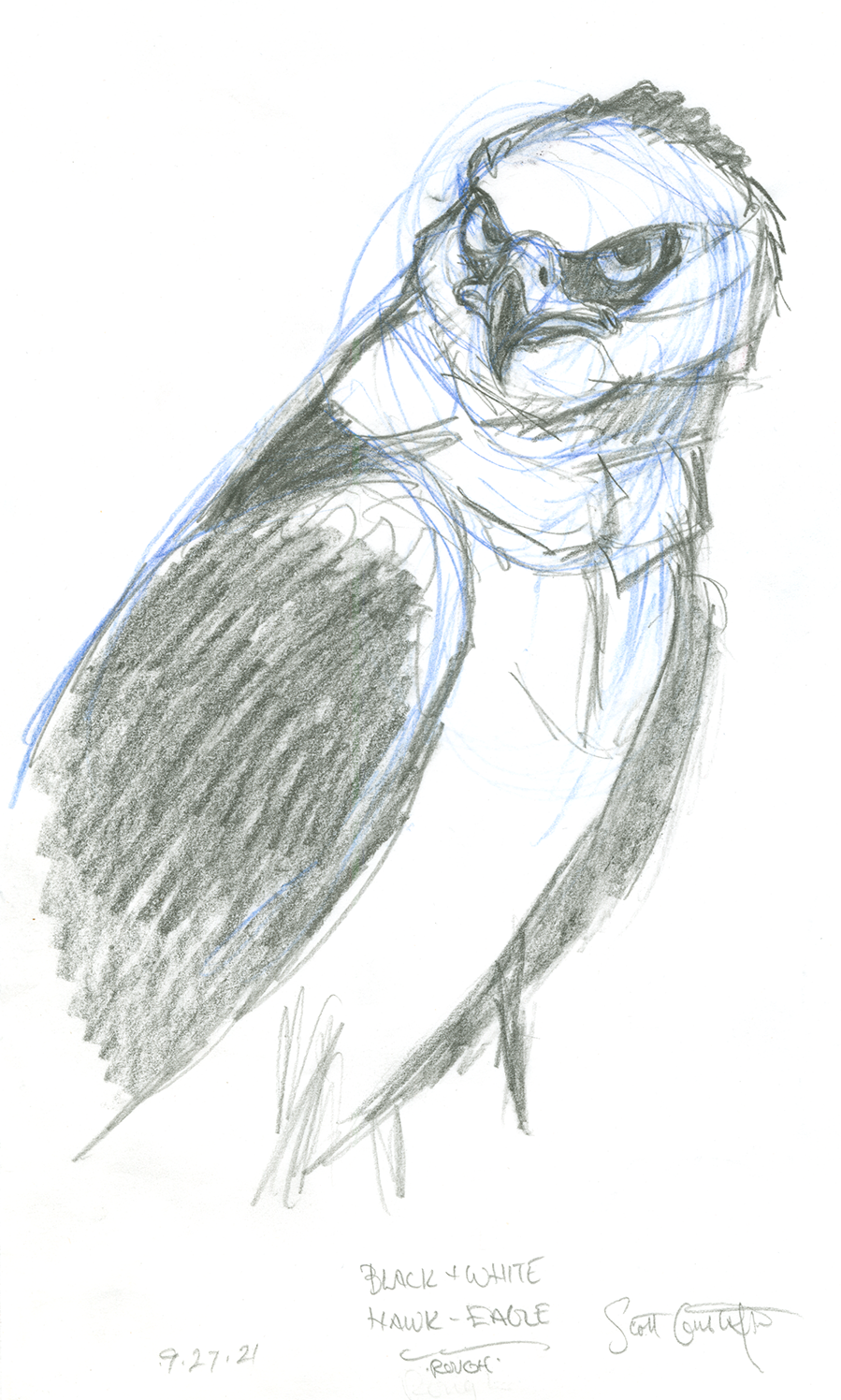 GUSTAFSON_Black_and_White_hawk_eagle-1.png