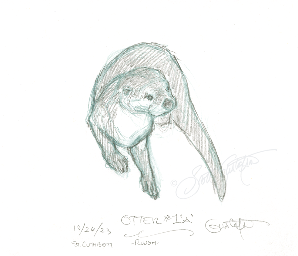 GUSTAFSON_otter-2.png
