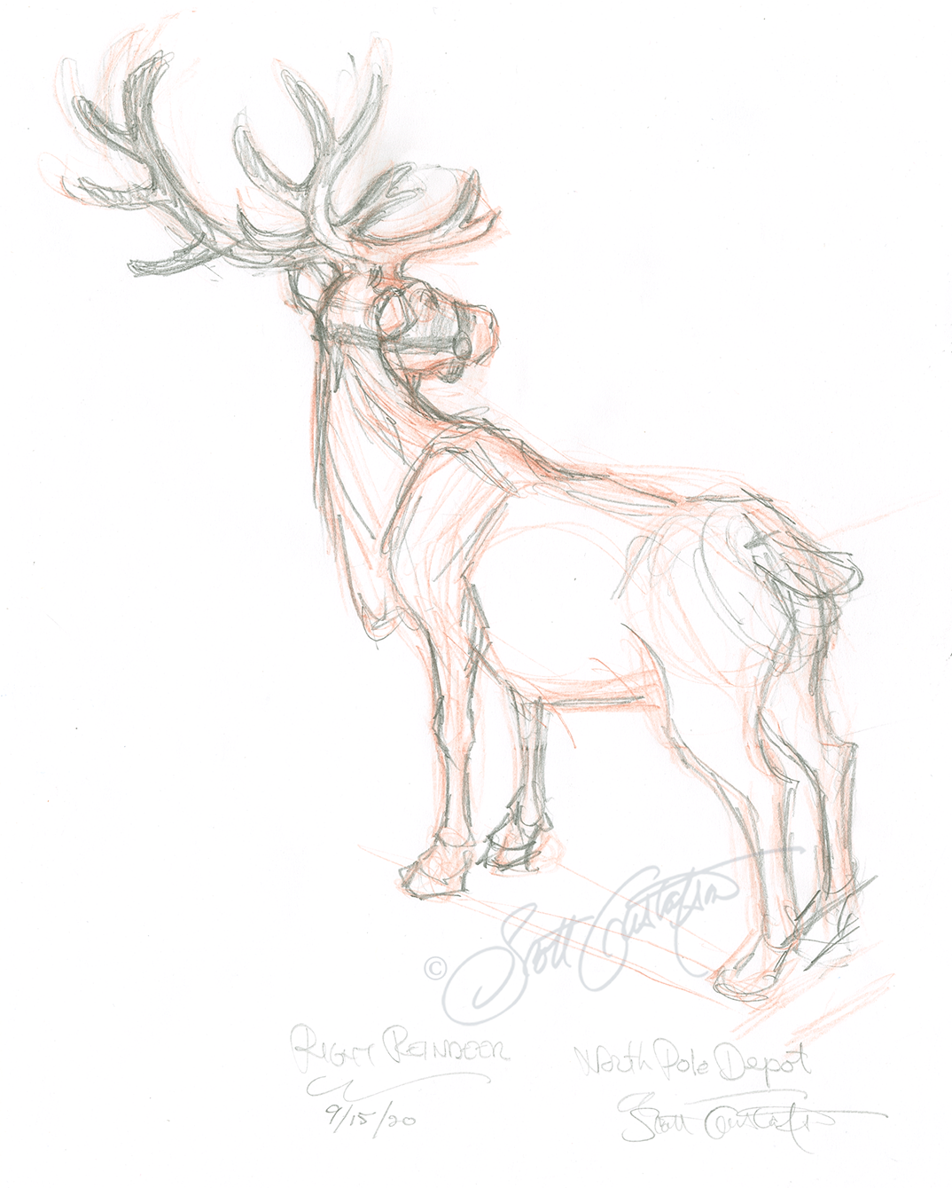 GUSTAFSON_Reindeer_1_rough copy.png