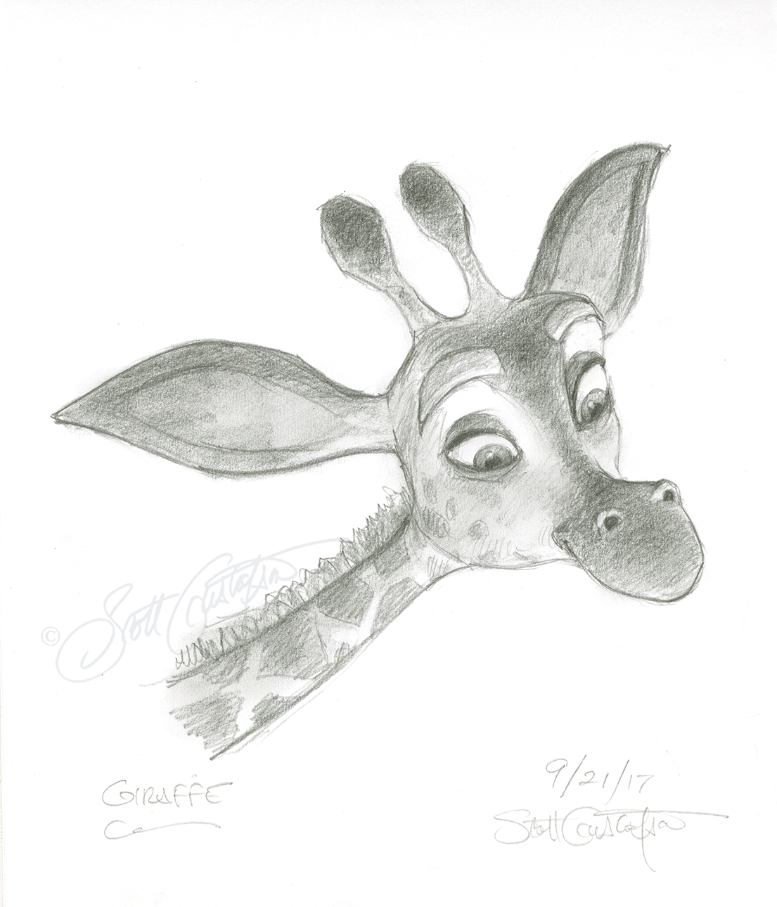 GUSTAFSON_giraffe_head_study_final.png