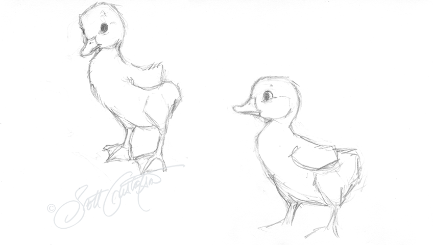 GUSTAFSON_baby_ducks_sketch.png