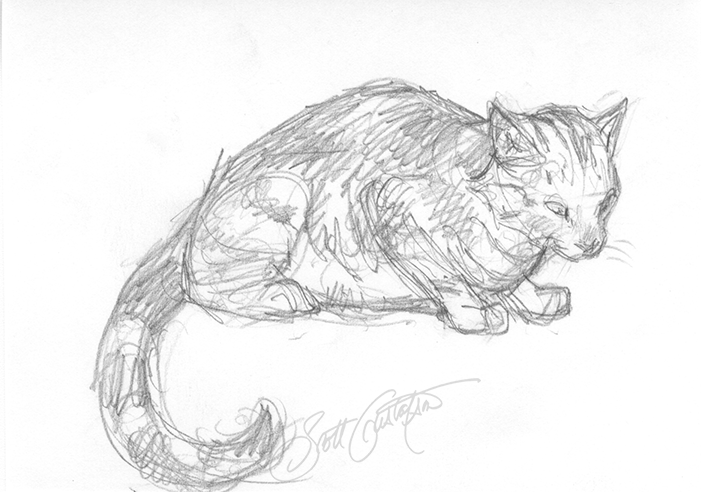 GUSTAFSON_cat_study - rough.png