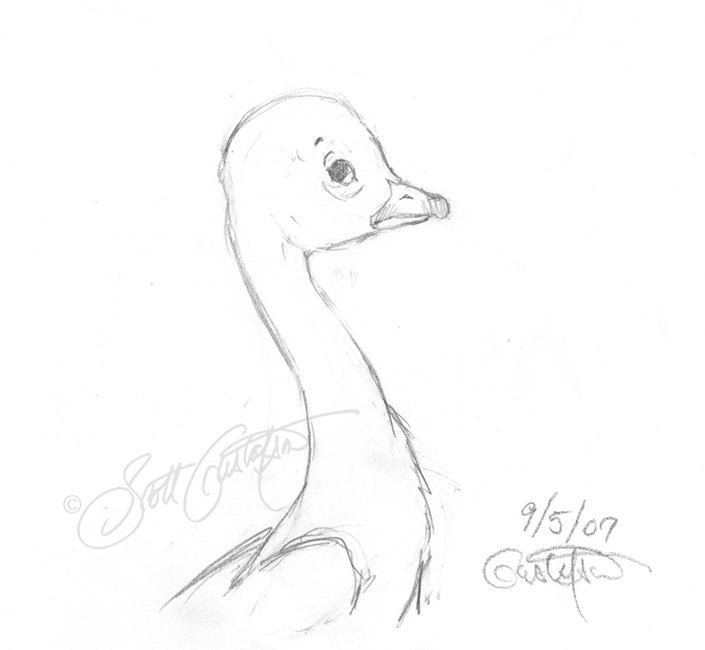 GUSTAFSON_ugly_duckling_head_study.png