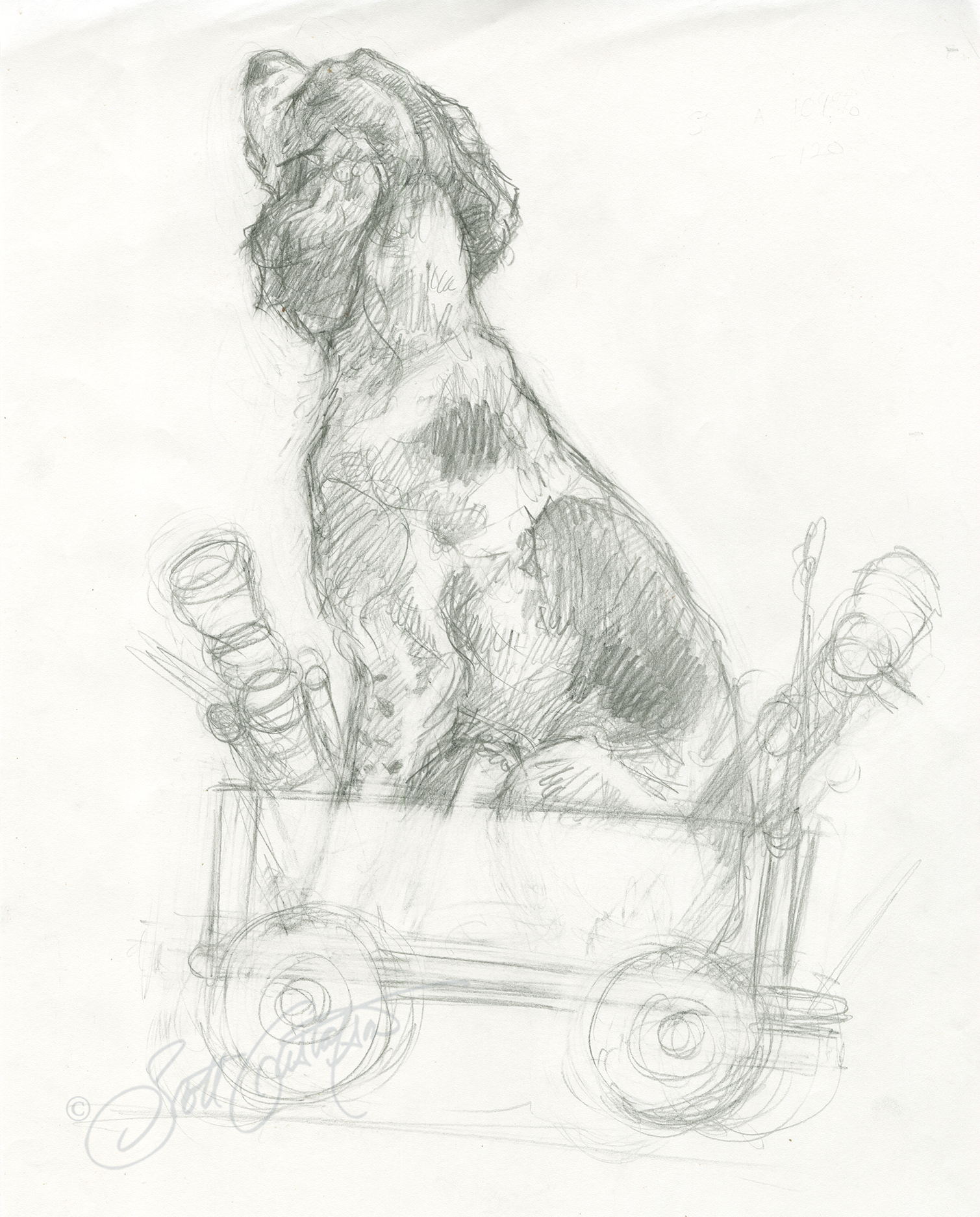 GUSTAFSON_HD_Dog_study.png