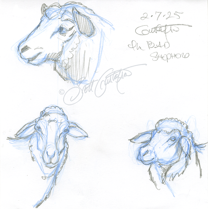 GUSTAFSON_sheep-2.png