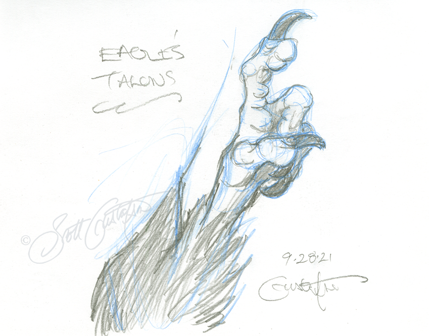 GUSTAFSON_eagle_talons.png