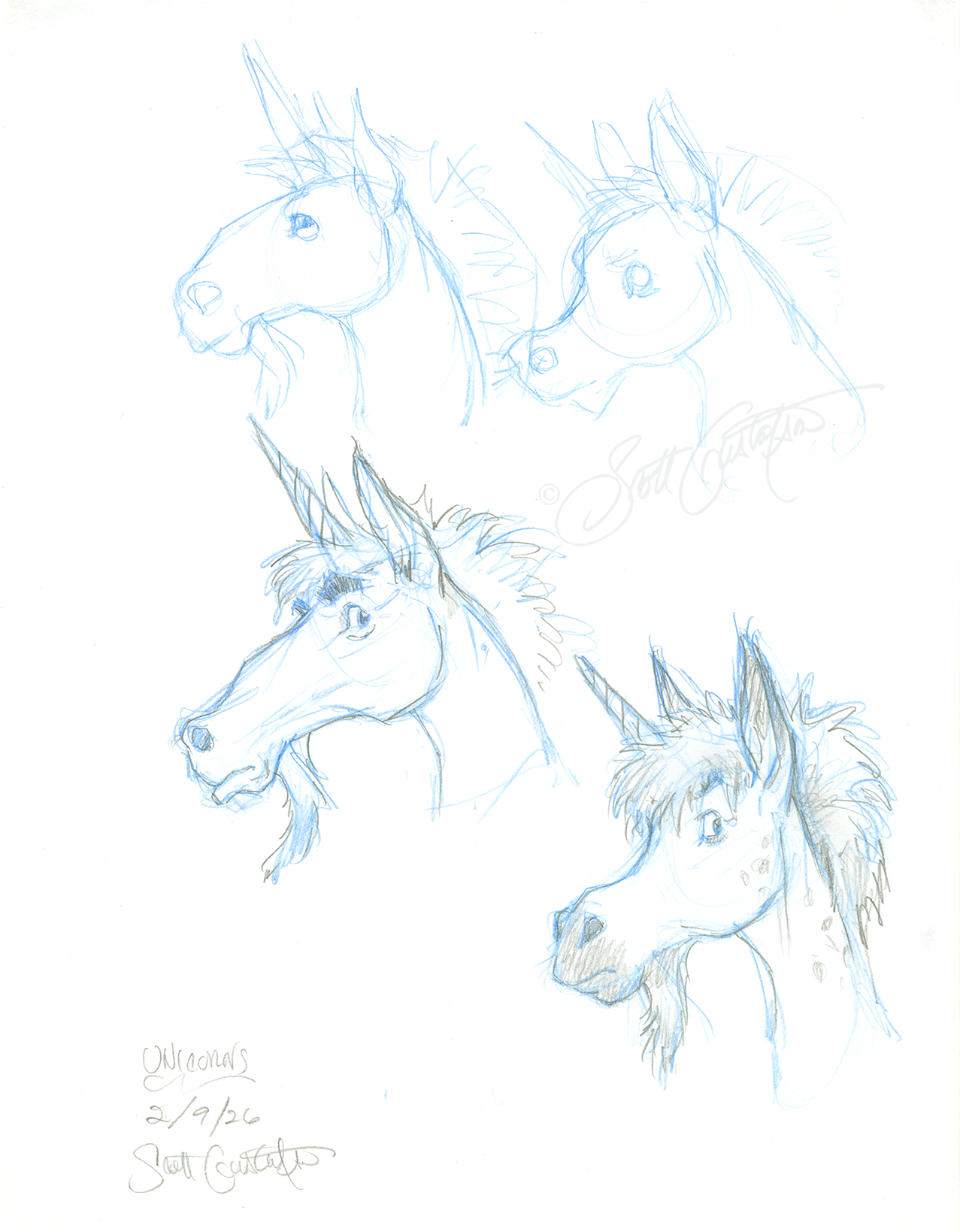 GUSTAFSON_Unicorn-1_head_studies.png