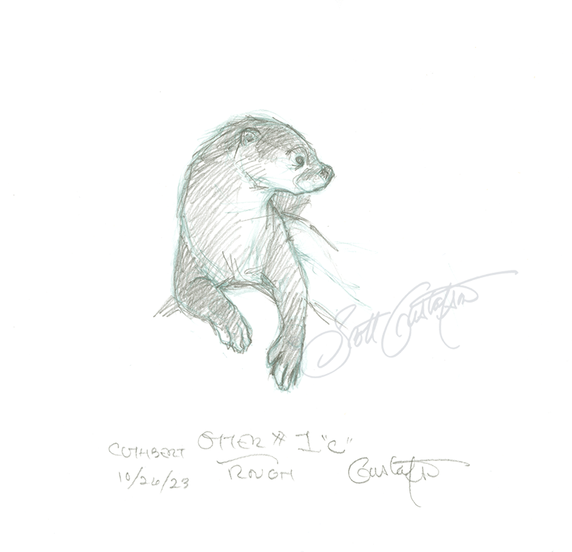 GUSTAFSON_otter-4.png